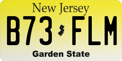 NJ license plate B73FLM