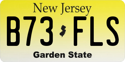 NJ license plate B73FLS