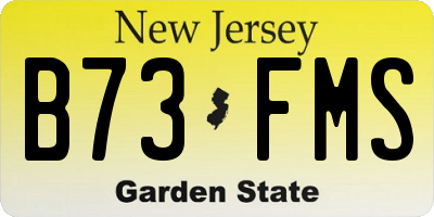 NJ license plate B73FMS