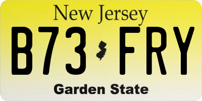 NJ license plate B73FRY