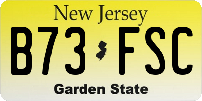 NJ license plate B73FSC