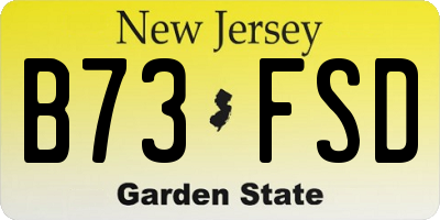 NJ license plate B73FSD