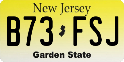NJ license plate B73FSJ