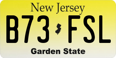 NJ license plate B73FSL