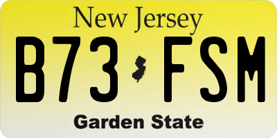 NJ license plate B73FSM