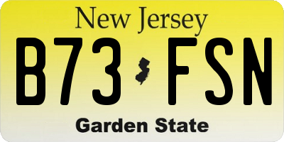 NJ license plate B73FSN