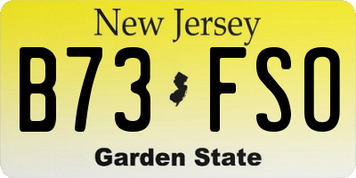 NJ license plate B73FSO