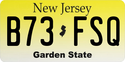 NJ license plate B73FSQ