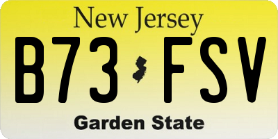 NJ license plate B73FSV