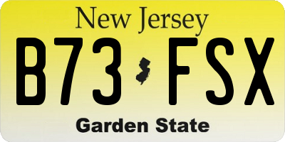 NJ license plate B73FSX