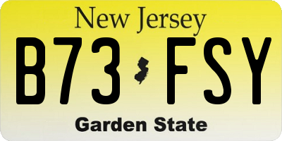 NJ license plate B73FSY
