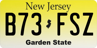 NJ license plate B73FSZ