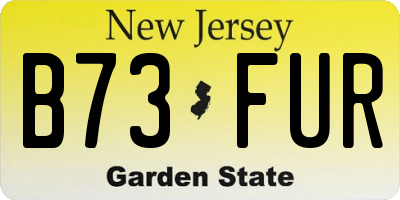 NJ license plate B73FUR