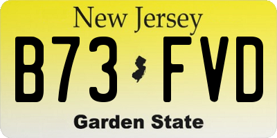NJ license plate B73FVD