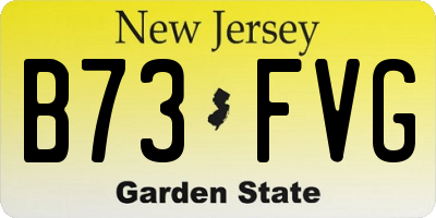 NJ license plate B73FVG