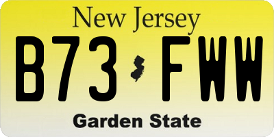 NJ license plate B73FWW