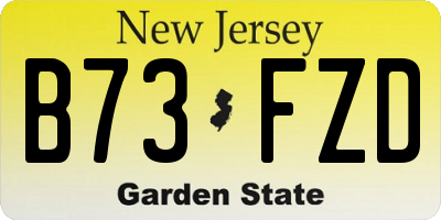 NJ license plate B73FZD