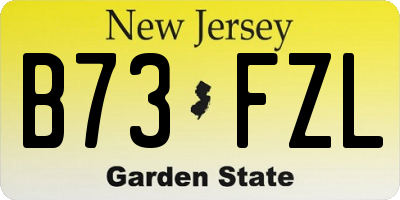 NJ license plate B73FZL