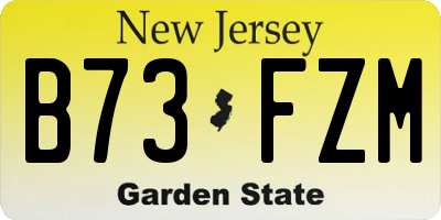 NJ license plate B73FZM