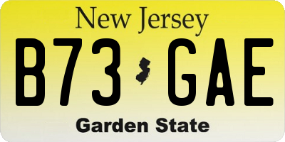 NJ license plate B73GAE