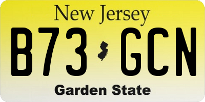 NJ license plate B73GCN