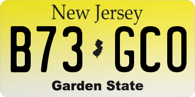 NJ license plate B73GCO