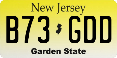 NJ license plate B73GDD