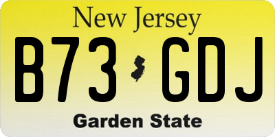 NJ license plate B73GDJ