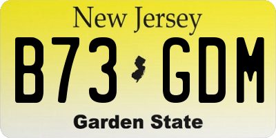 NJ license plate B73GDM