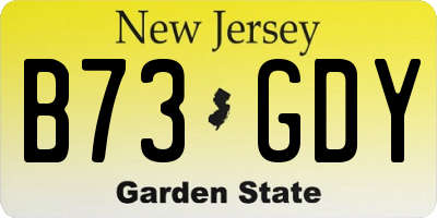 NJ license plate B73GDY