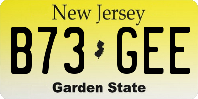 NJ license plate B73GEE
