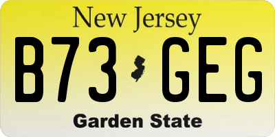NJ license plate B73GEG