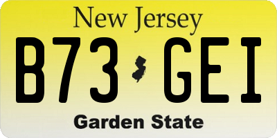 NJ license plate B73GEI