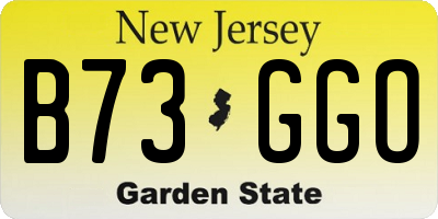 NJ license plate B73GGO