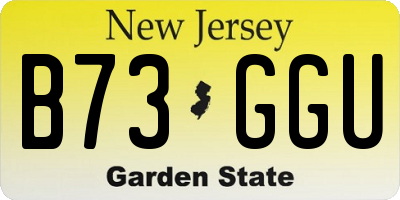 NJ license plate B73GGU