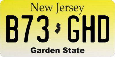 NJ license plate B73GHD