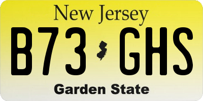 NJ license plate B73GHS