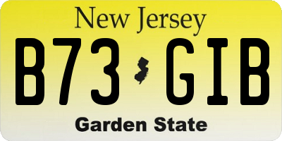 NJ license plate B73GIB