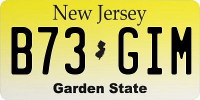 NJ license plate B73GIM