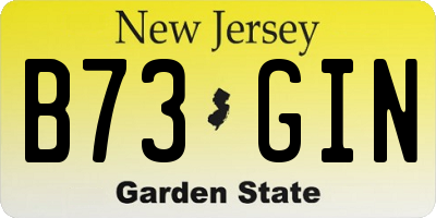 NJ license plate B73GIN