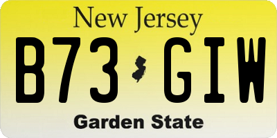 NJ license plate B73GIW
