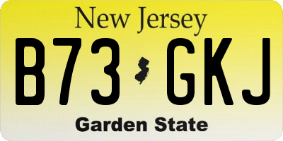 NJ license plate B73GKJ