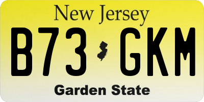 NJ license plate B73GKM