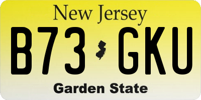 NJ license plate B73GKU