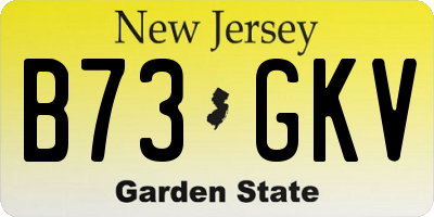 NJ license plate B73GKV