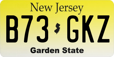 NJ license plate B73GKZ