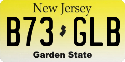 NJ license plate B73GLB
