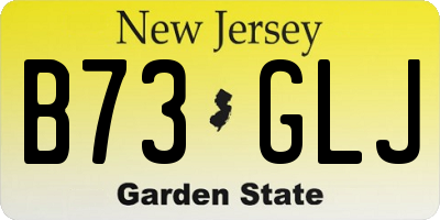 NJ license plate B73GLJ