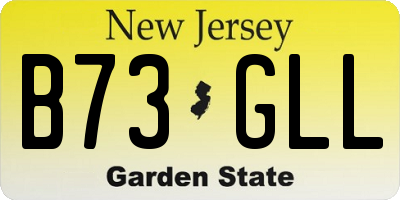 NJ license plate B73GLL