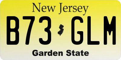 NJ license plate B73GLM
